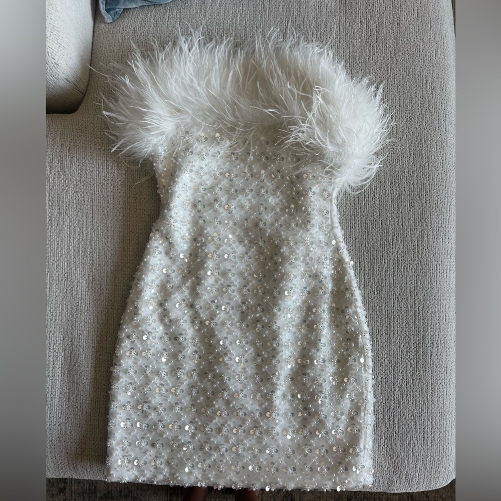 Nadine Merabi Harlow Dress- Sold out online! - Picture 5 of 9